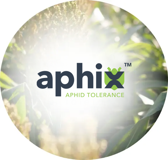 Aphix