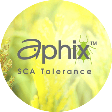 Aphix