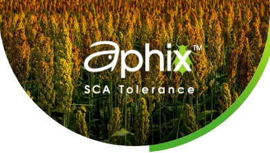 Aphix Banner