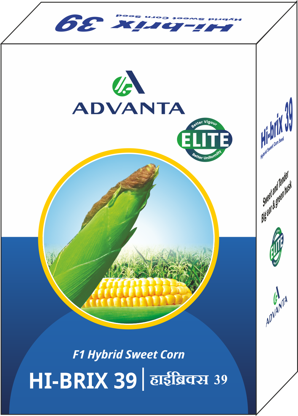 Hi brix 39 | Advanta India