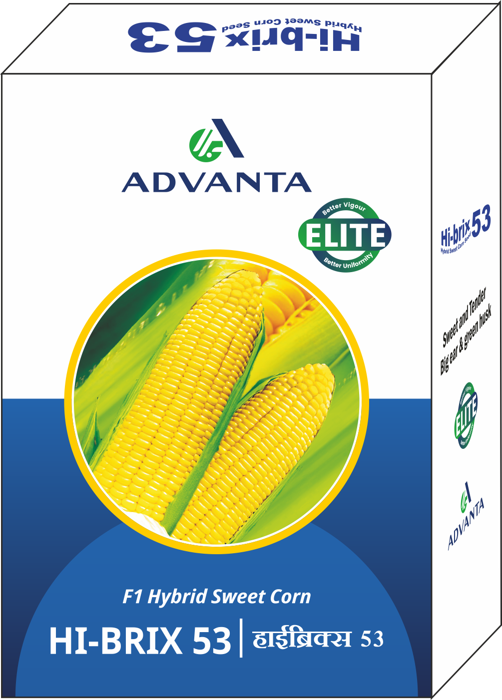 Hi brix 53 | Advanta India