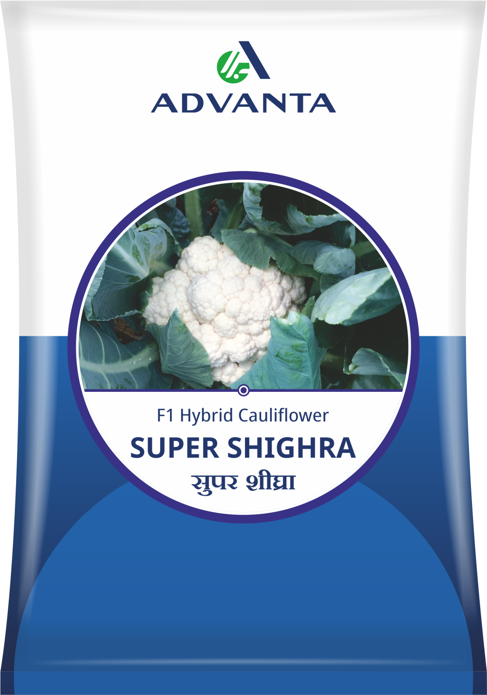 GS 385 | Advanta India