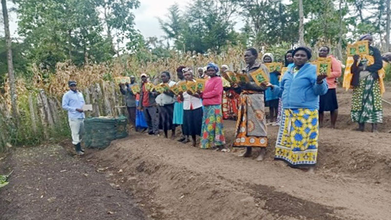 Boosting Nutrition with African Indigenous Vegetables