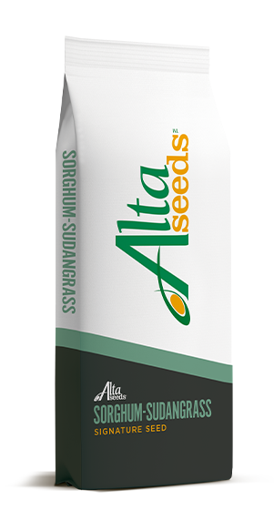 Sudangrass & Sorghum Sudan | AltsSeeds US