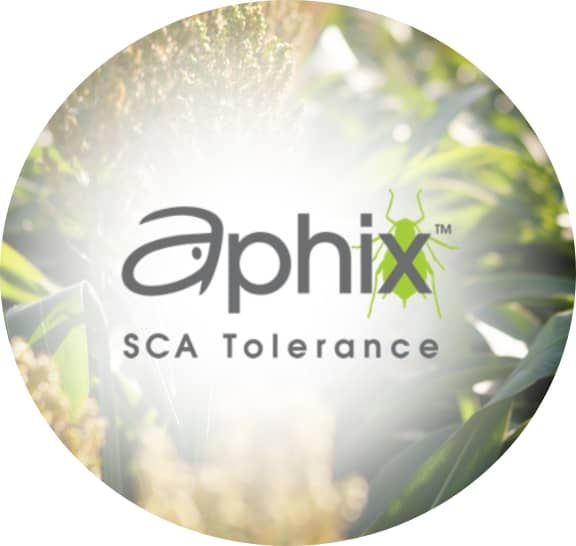 Aphix