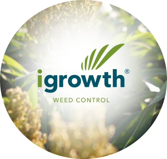 igrowth-weed-control