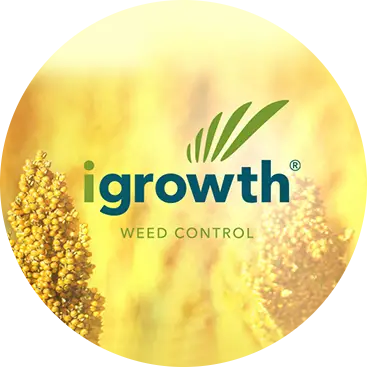 igrowth-weed-control